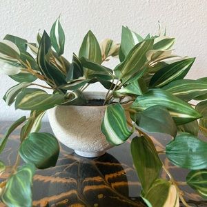 Faux Plant
